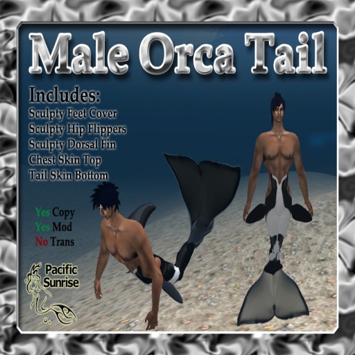 (PS) Orca Male Tail