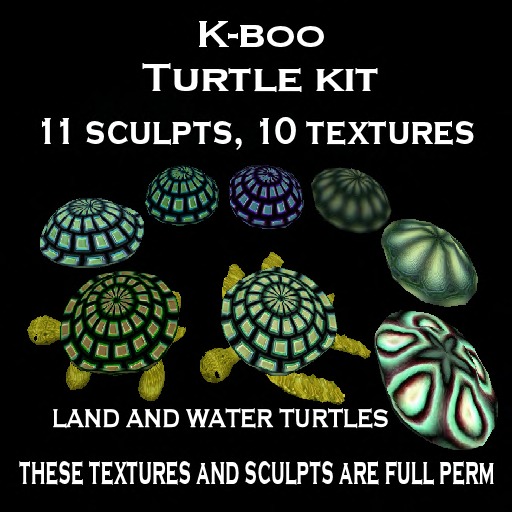 k-boo turtle kit 1