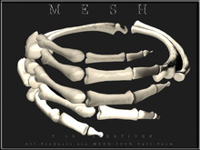 T-3D Creation [Slice of Lemon] MESH - Full Perm
