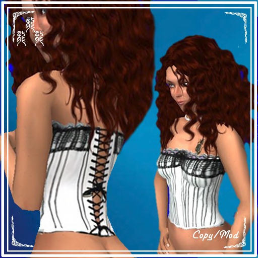 victorian corset-Dragons'