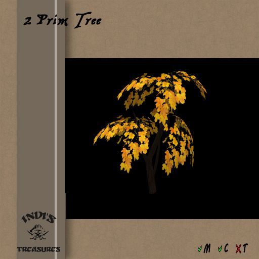.: IT :.  2 PRIM TREE - YELLOW MAPLE - BOXED -