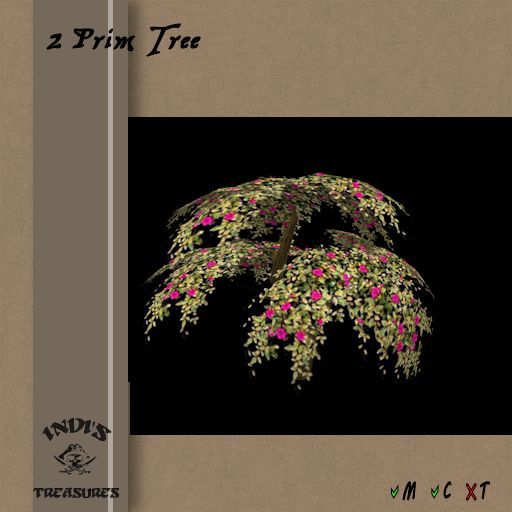 .: IT :.  2 PRIM TREE - YELLOW MAPLE - BOXED -