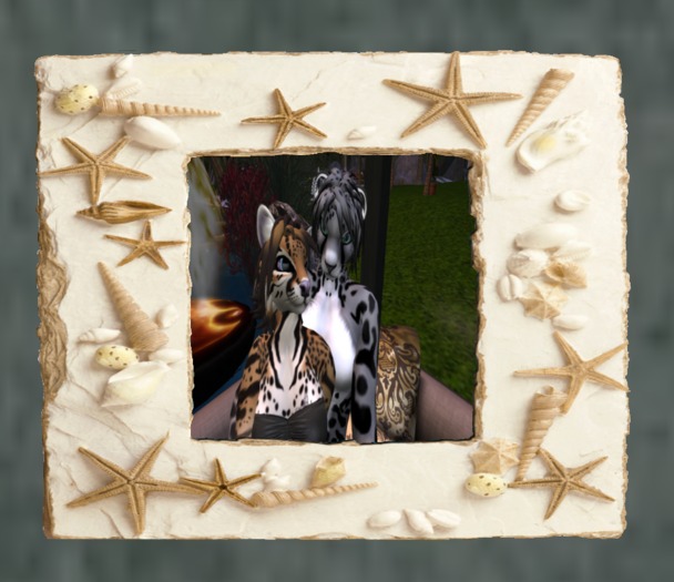Slideshow Frame - Sea Shells