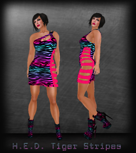 H.E.D. Tigers Stripes Outfit