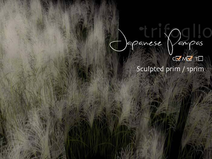 +trifoglio+ Japanese Pampas [boxed]