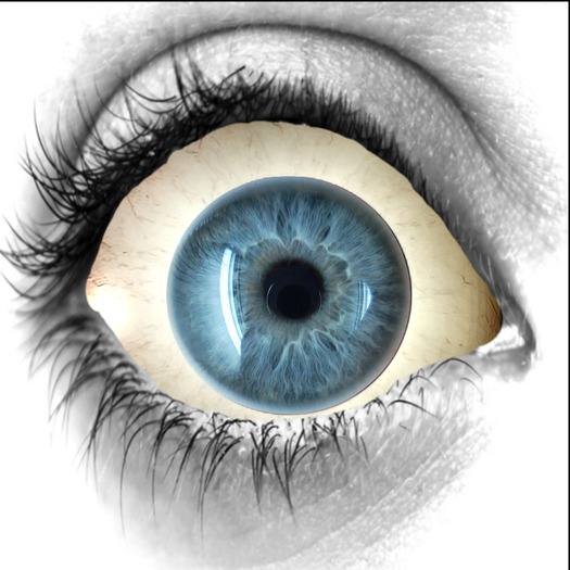 Light Cotton Grey Eyes (new)