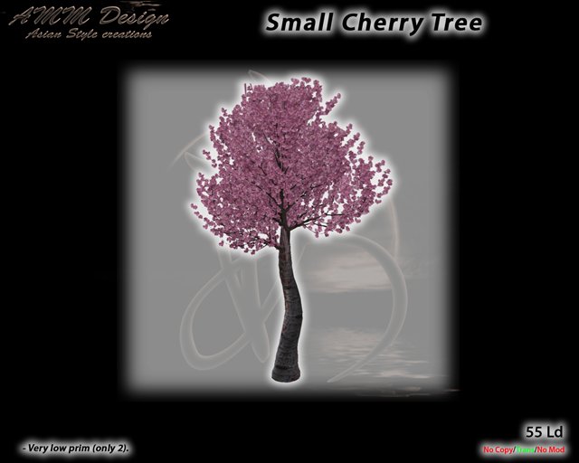 *AMM Design Landscaping / Plant Japanese Small Cherry Tree