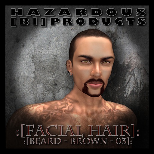 [Facial Hair] Beard: Brown [03] 