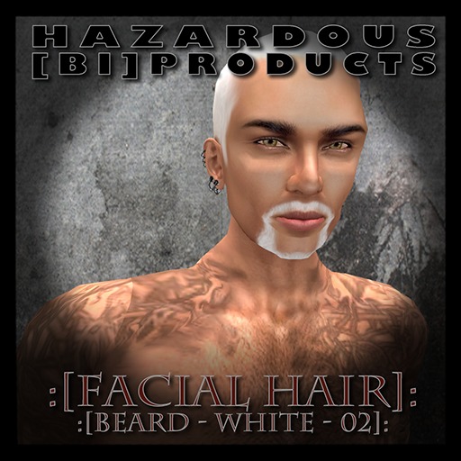 :[HBP]: Beard-Black-Salt-n-Pepper-01 Box