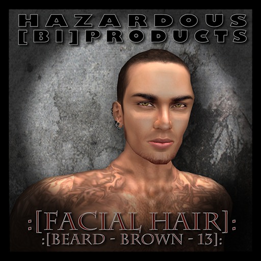 [Facial Hair] Beard: Brown [13] 