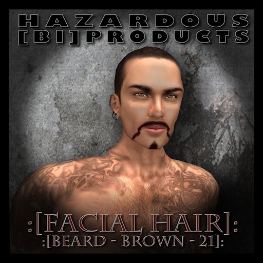 :[HBP]: Beard-Black-Salt-n-Pepper-01 Box