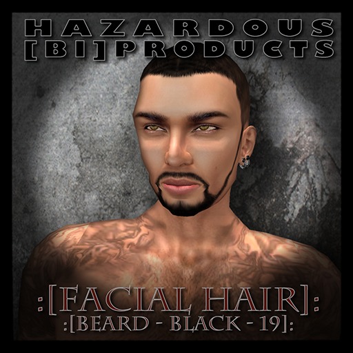 :[HBP]: Beard-Black-Salt-n-Pepper-01 Box