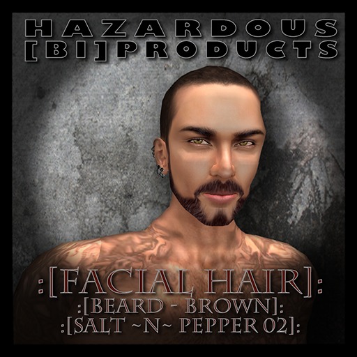 [Facial Hair] Beard: Brown - Salt-n-Pepper [02] 