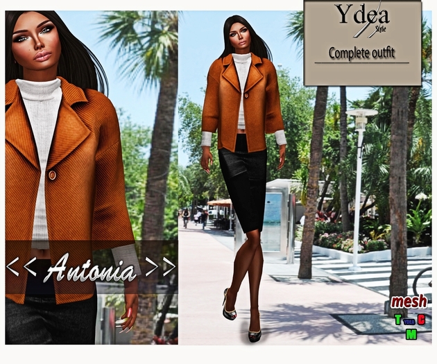 *Ydea* Antonia