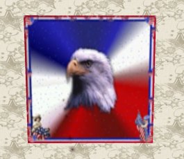 Bald Eagle Animated