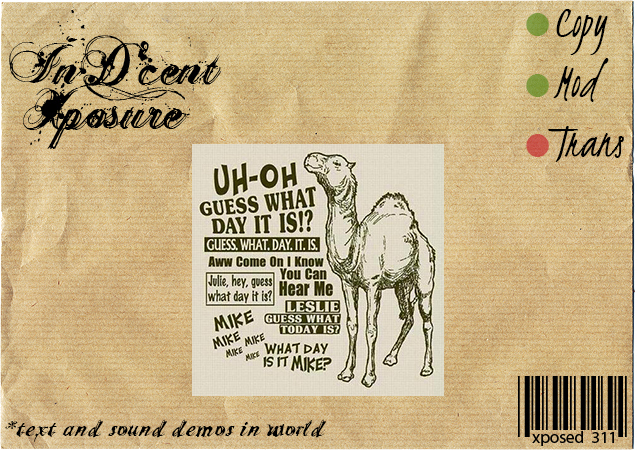 Huh o.O {InD'cent Xposure} O.o