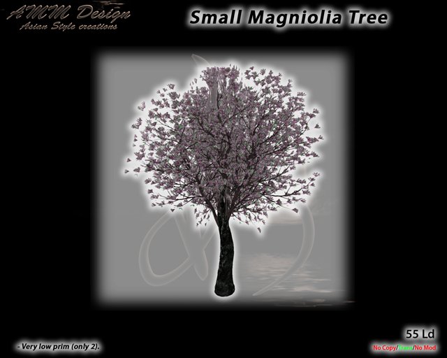 *AMM Design Landscaping / Plant Japanese Small Magnolia Tree