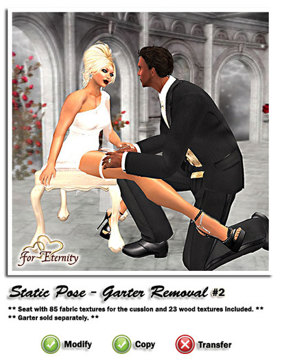 *VRD* Poses - Garter Removal #2 (boxed)