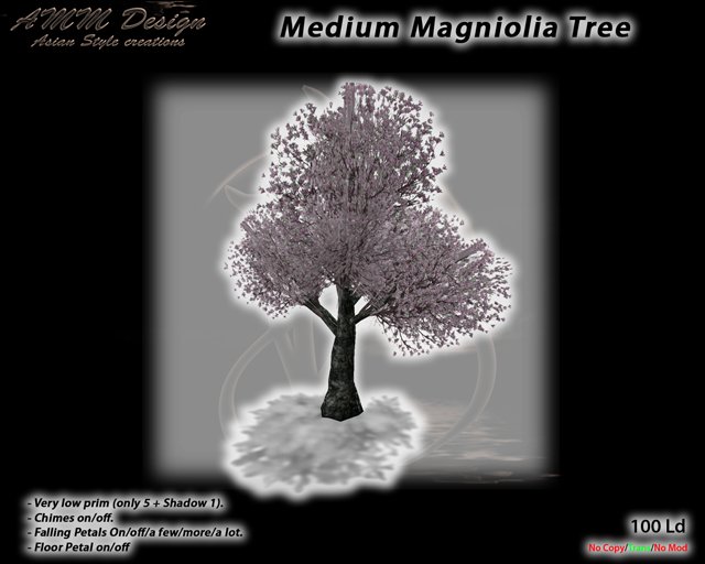 *AMM Design Landscaping / Plant Japanese Medium Magnolia Tree