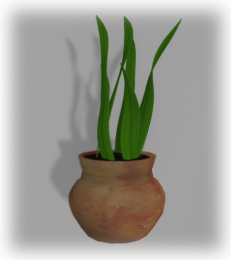 Snake (mother-in-law) Plant 1 Prim [boxed]