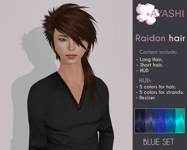 [^.^Ayashi^.^] Raidon - blue set