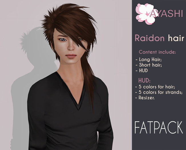 [^.^Ayashi^.^] Raidon - fatpack