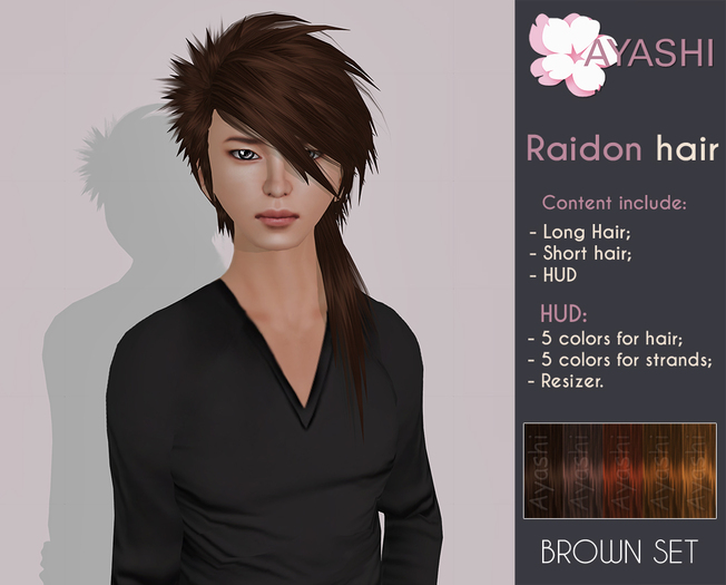 [^.^Ayashi^.^] Raidon - brown set