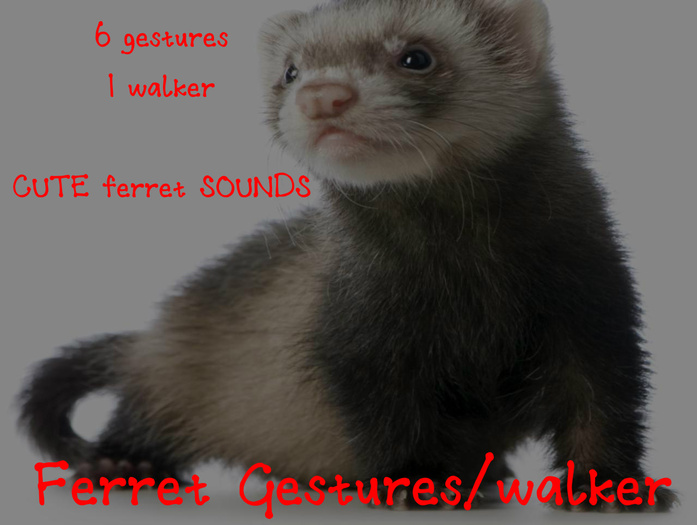 Ferret,6 Gestures,2 walkers