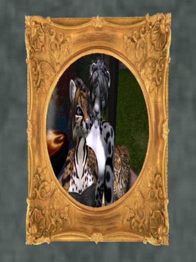 Slideshow Frame
