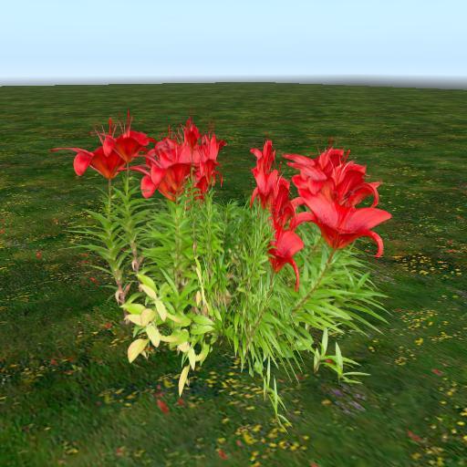 Sassy's Red Tiger Lilies