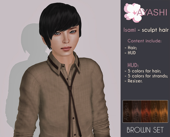 [^.^Ayashi^.^]Isami-brown set