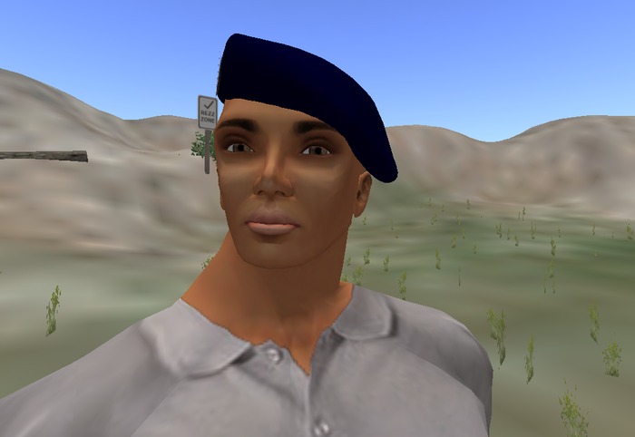 Police Hat (( Full perm ))