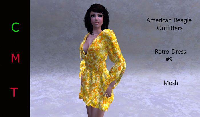 ABO - Retro 9 Tunic Dress