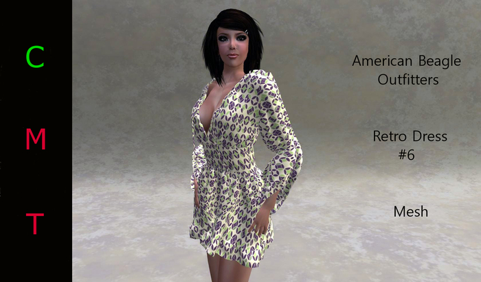 ABO - Retro 6 Tunic Dress