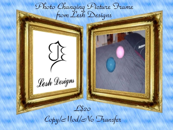 Lesh Designs:  Photo Changing Picture Frame ((Boxed))