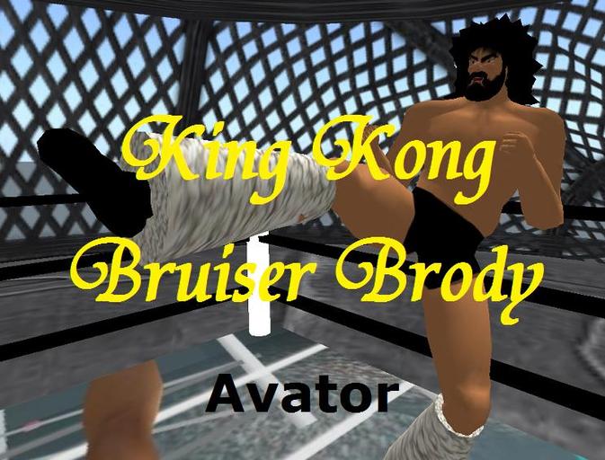 Bruiser Brody Avator