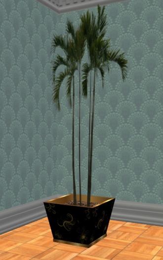 Potted Palms
