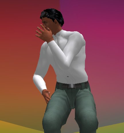 Talk Animations Full Perms
