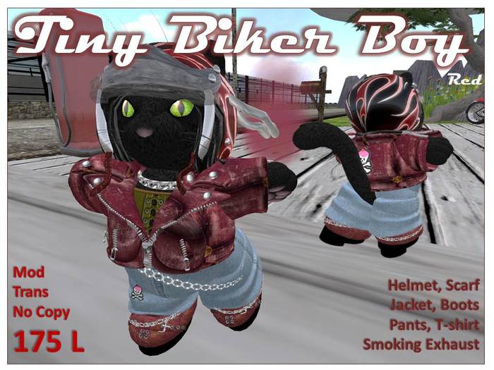 Tiny Biker Boy Red Box