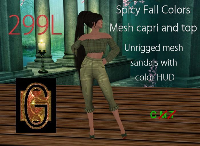 GenNirva - Sage  fall spice colors top and capris