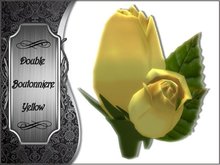 Boutonniere - Double - Yellow