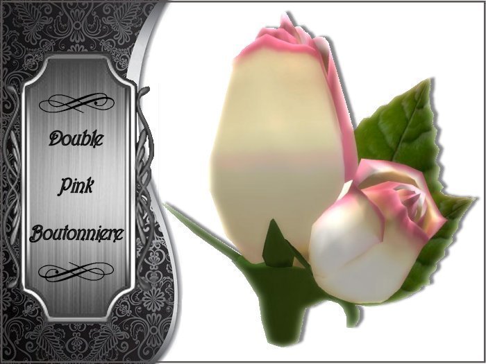 Boutonniere - Double - Pink