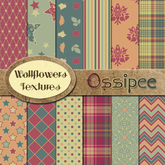 *Wallflowers* Ossipee