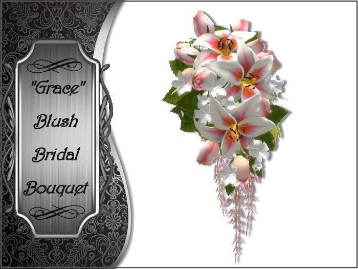 Grace - Blush