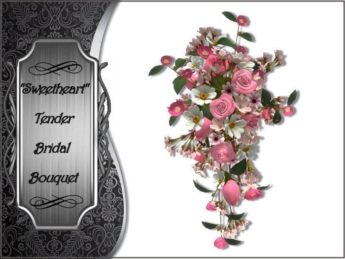 Sweetheart - Tender