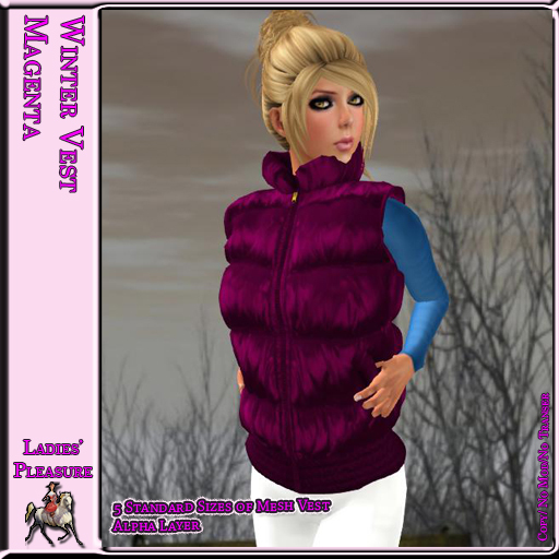 ~LP~ Winter Vest (Boxed) 