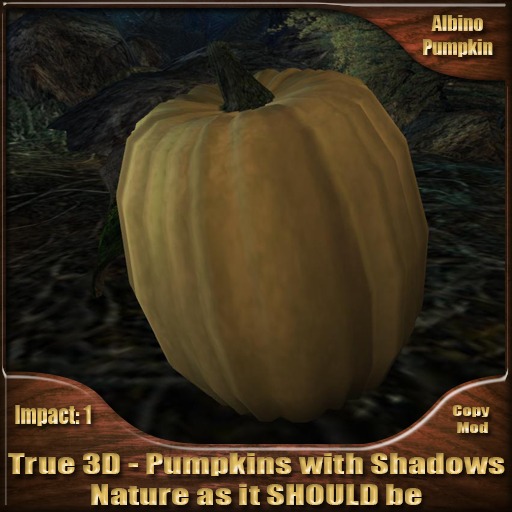 -LC- Pumpkin Albino