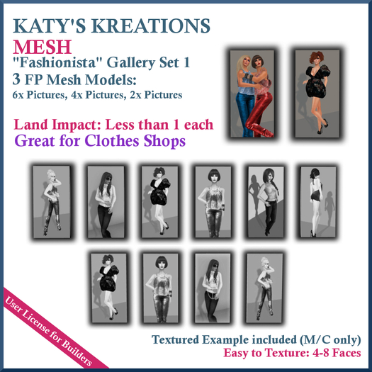 Builder's Kit: Fashionista 1 Gallery Display, Picture Display, Canvas Display Unit / Shop Display, Mesh Pictures