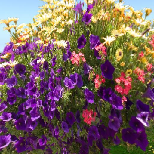 Sassy's Spring Mix 4