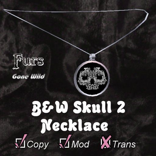 [FGW] Necklace - Skull 2